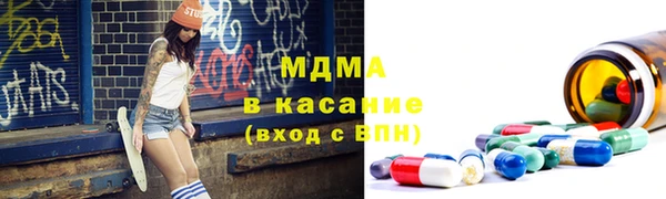 индика Заводоуковск