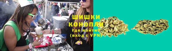 индика Заводоуковск