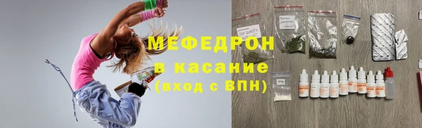 индика Заводоуковск