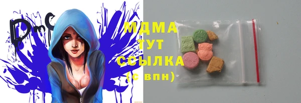 индика Заводоуковск