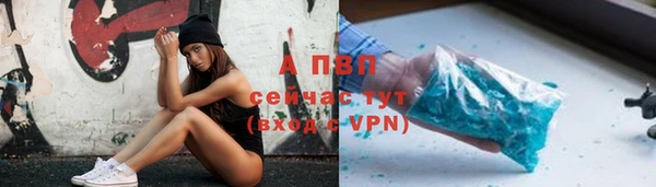индика Заводоуковск