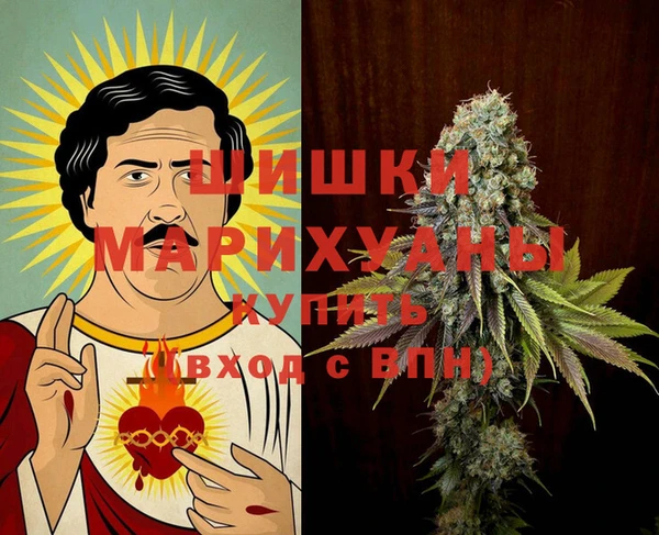 индика Заводоуковск