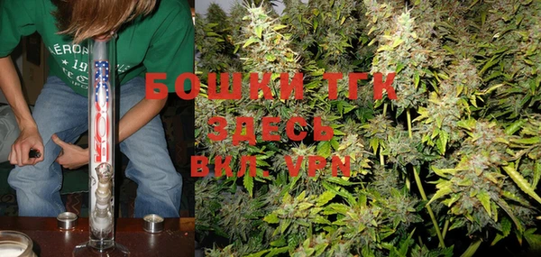 индика Заводоуковск